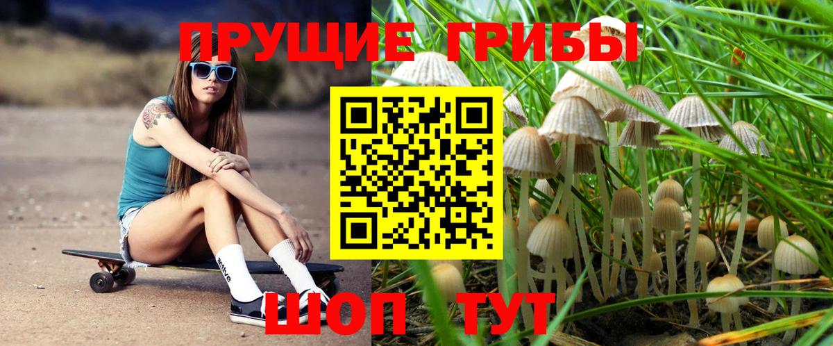 Галлюциногенные грибы Cubensis Баксан