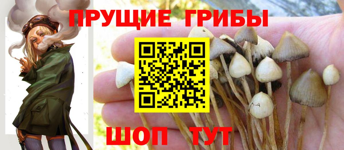 Галлюциногенные грибы мухоморы  Вход с VPN  Баксан  Галлюциногенные грибы GOLDEN TEACHER 